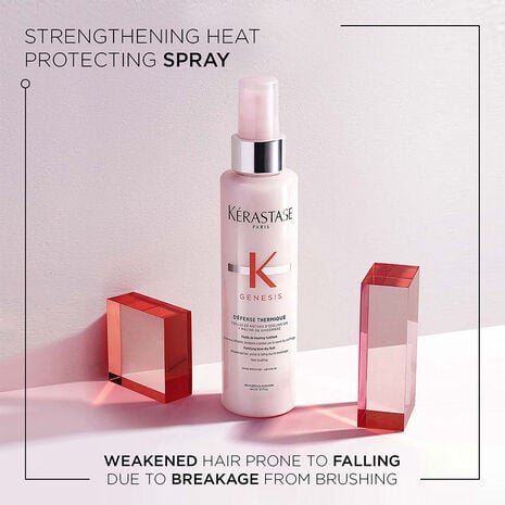 Defense Thermique Blow Dry Primer